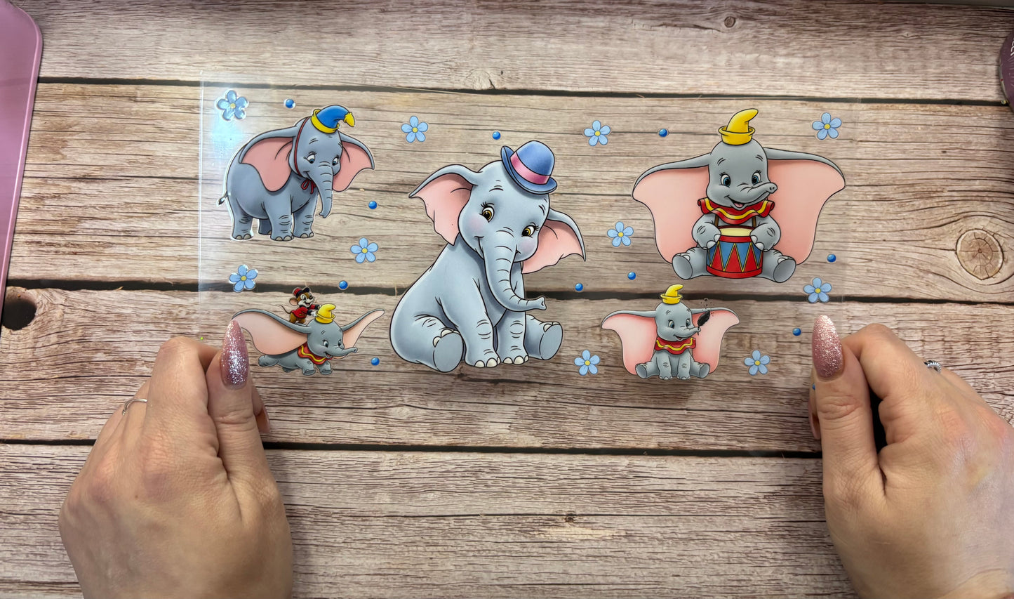 Elephant circus
