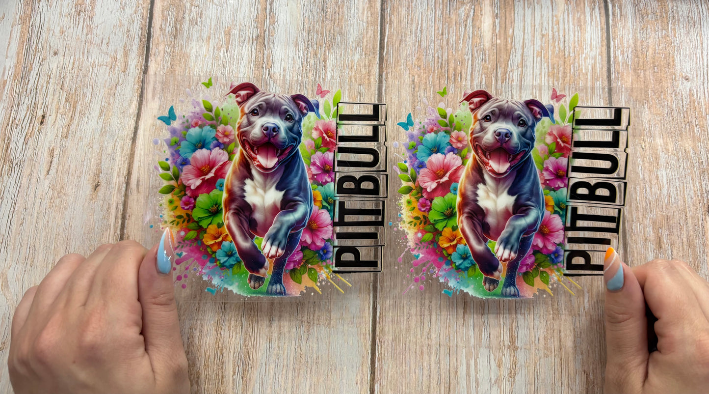 Pitbull