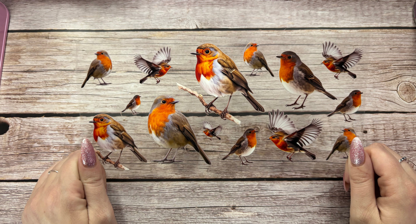 Robins