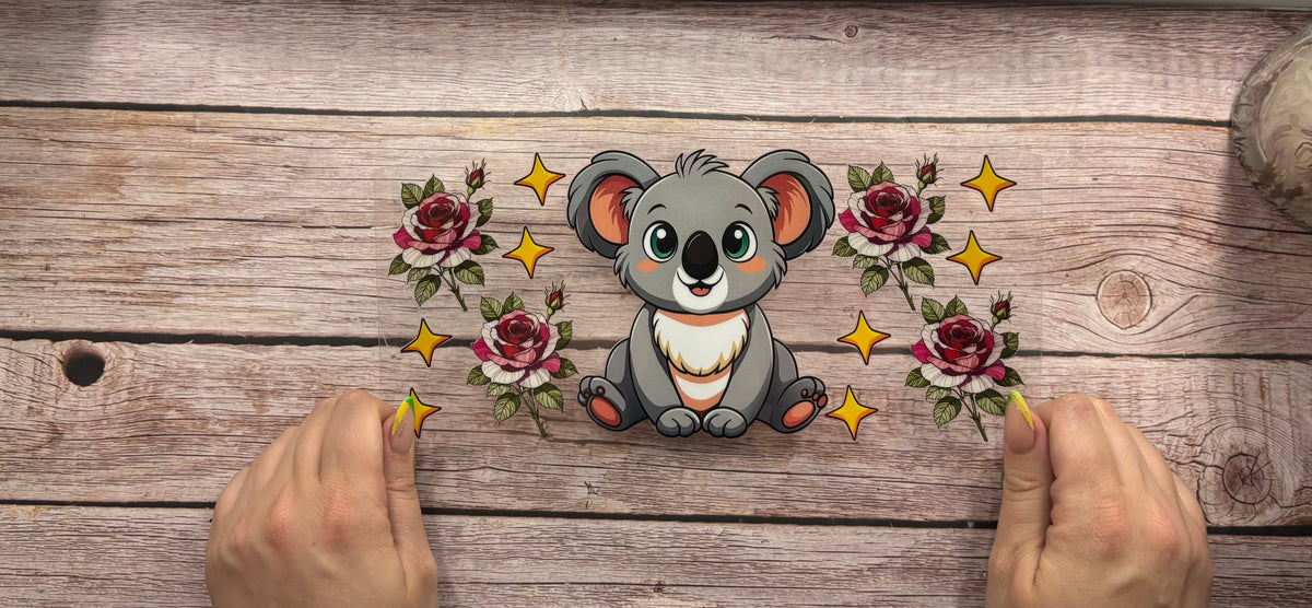 Koala