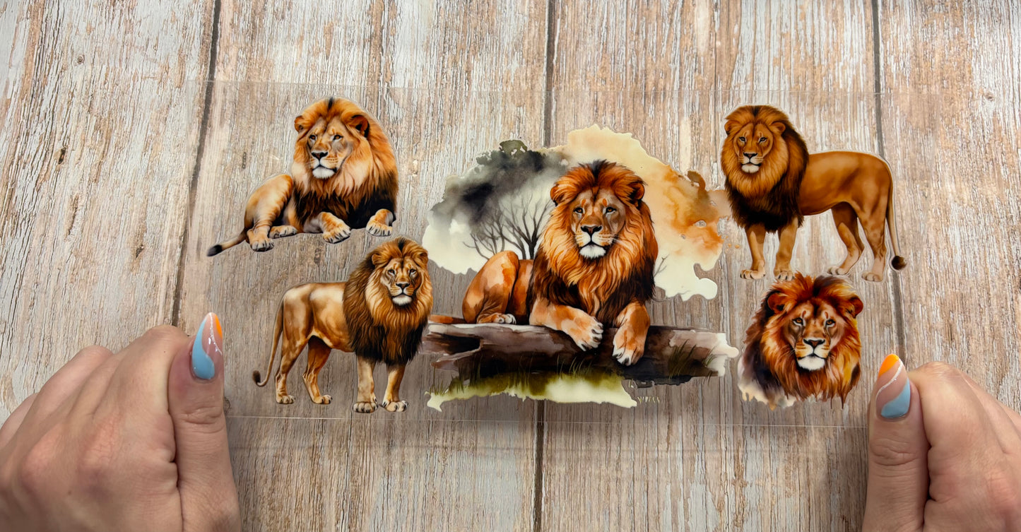 Lions
