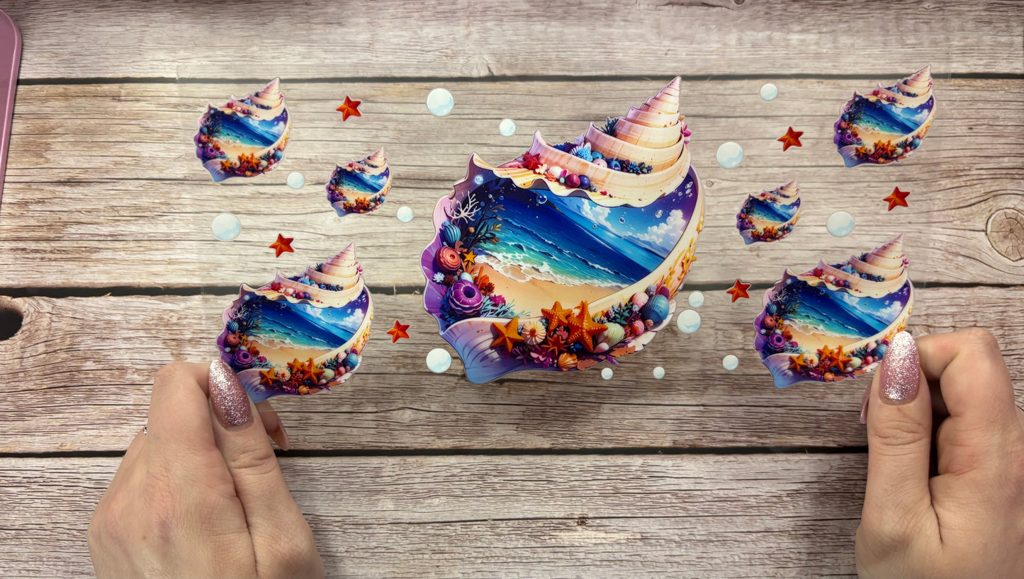 Seashell beach