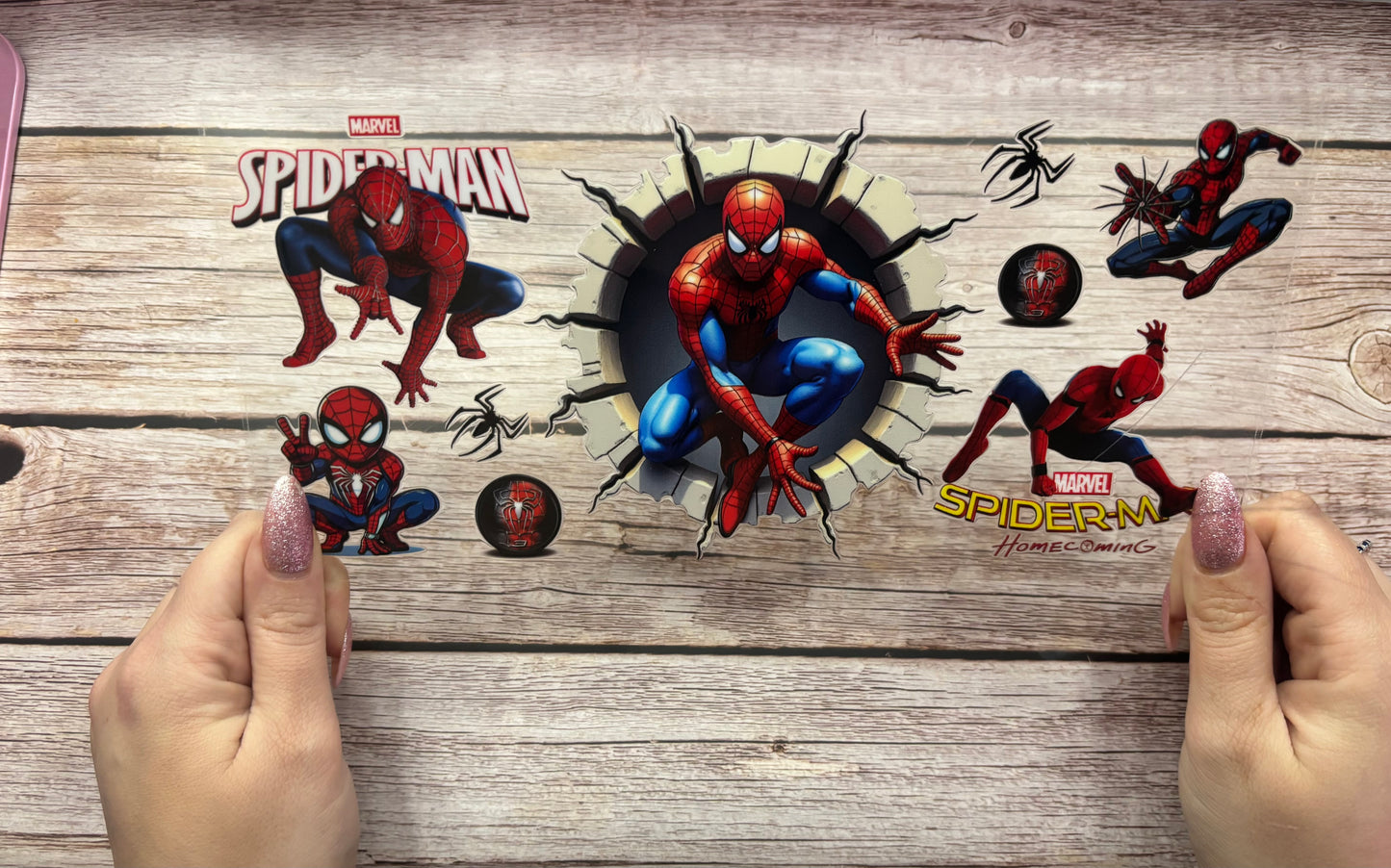 Spider