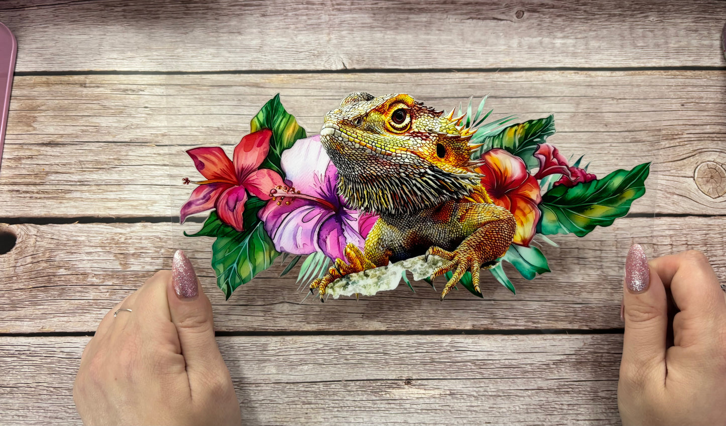 Bearded dragon
