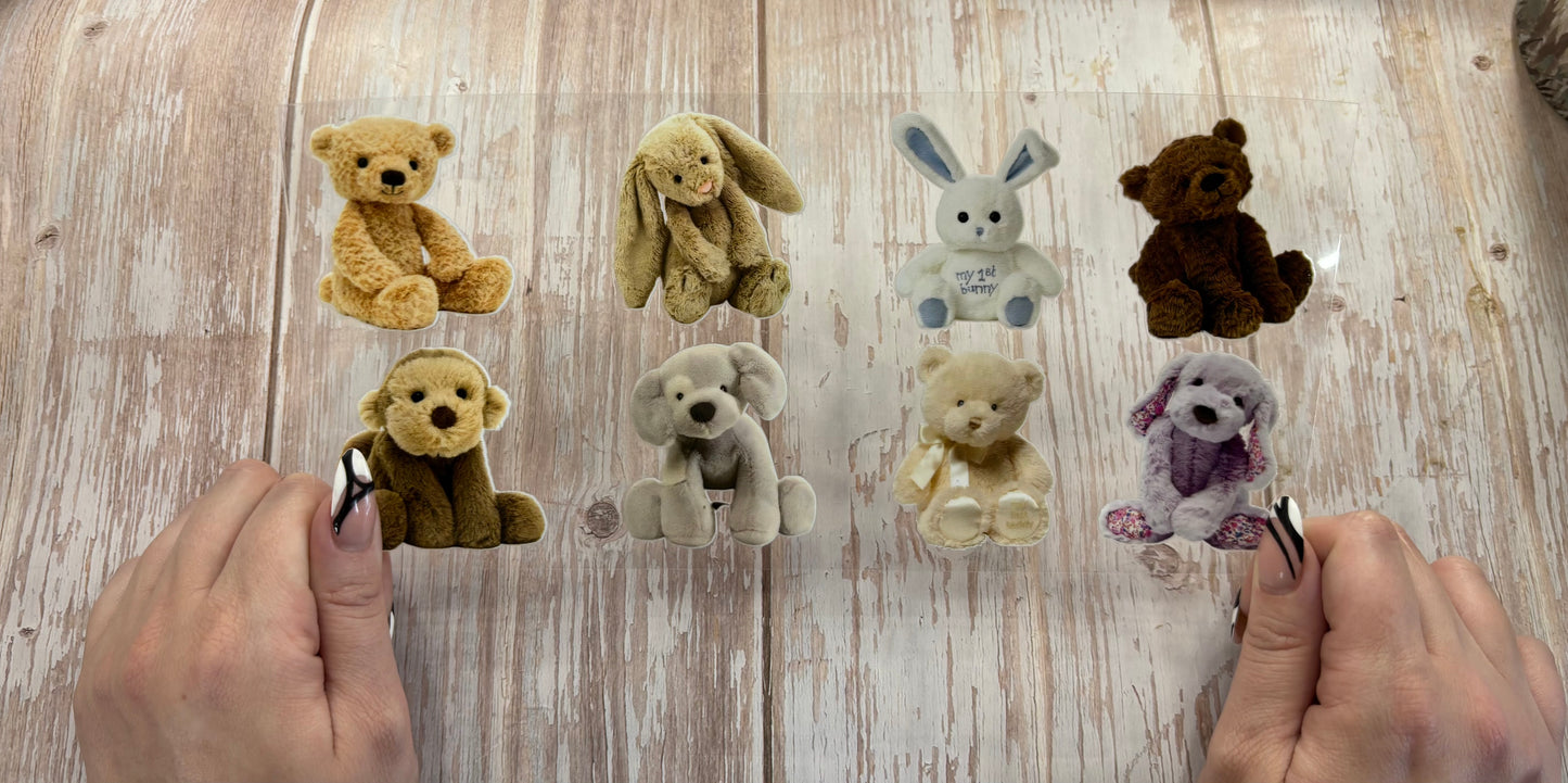 Teddy Teddy