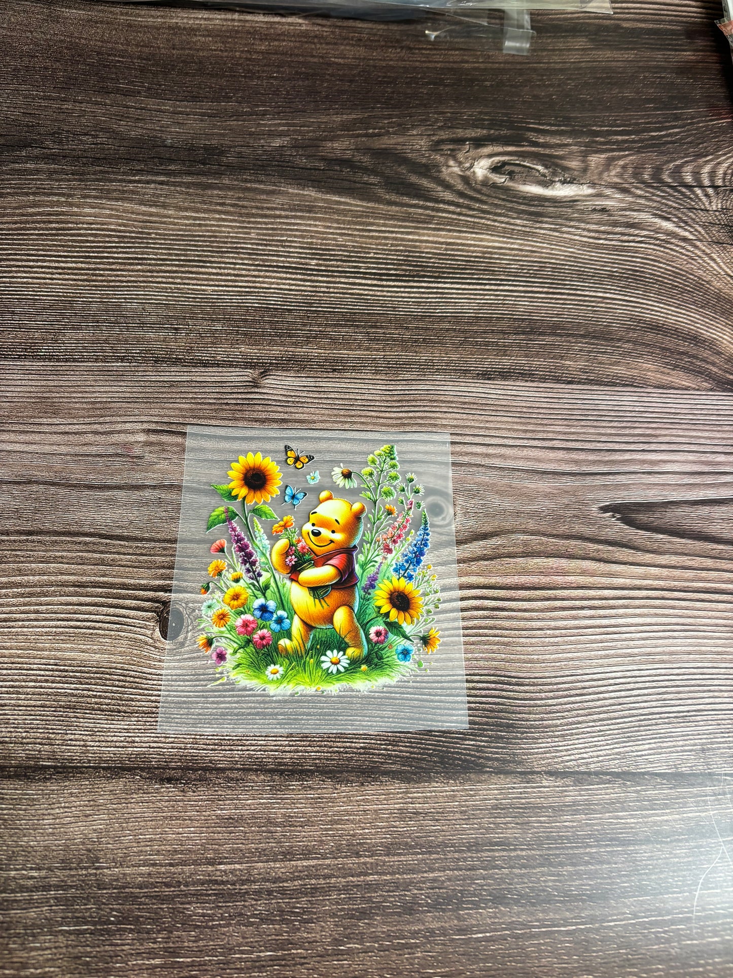 Sunflower honey bear HT