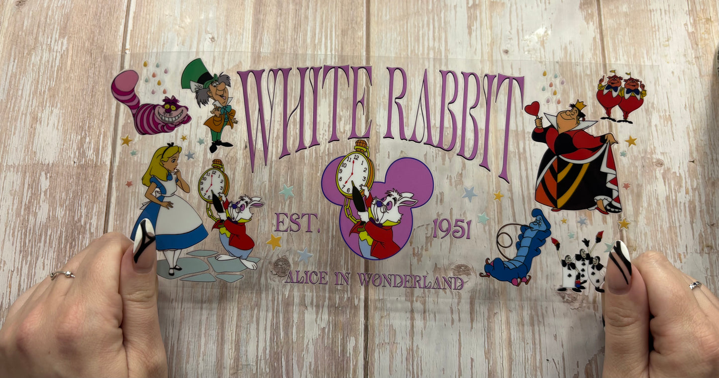 Rabbit