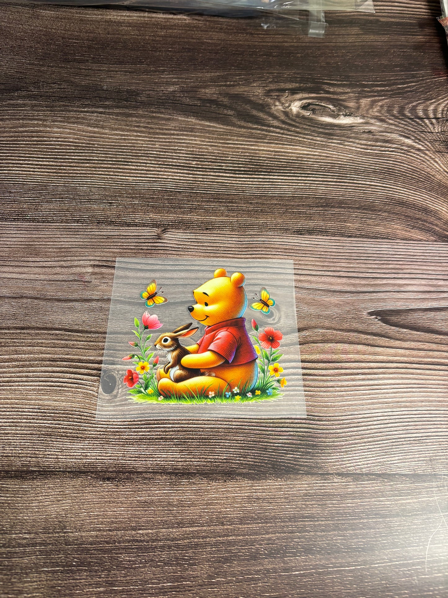 Honey bear ht