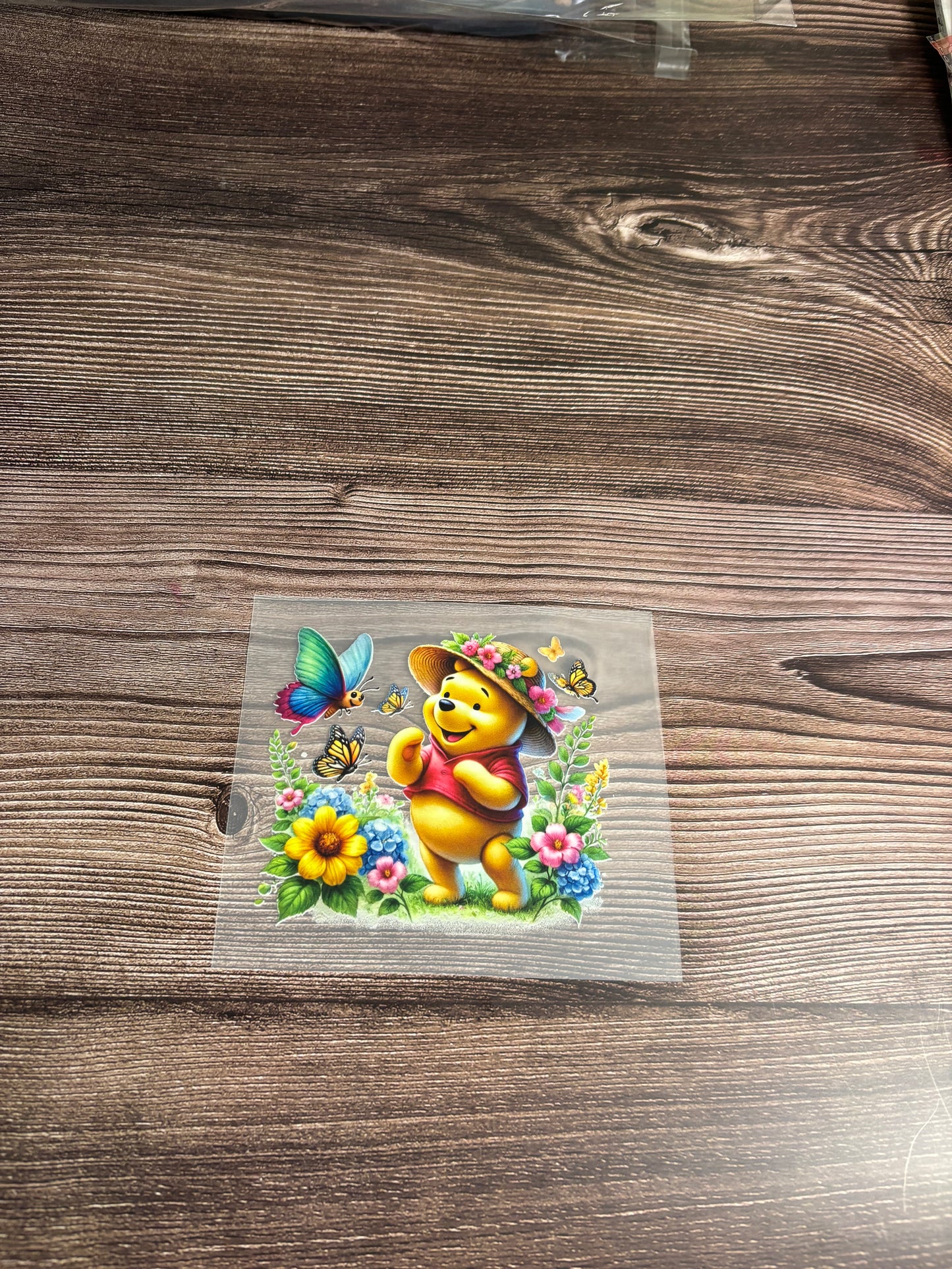 Honey bear in garden ht
