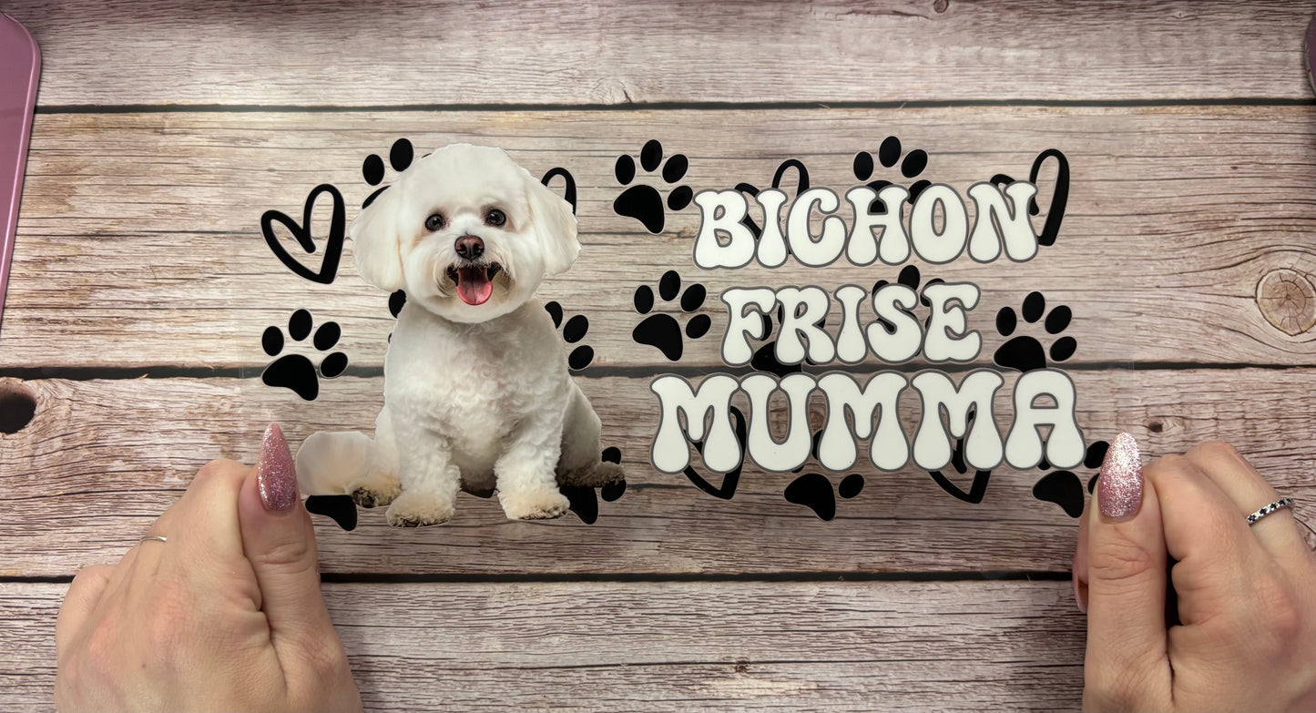 Bichon frise mumma