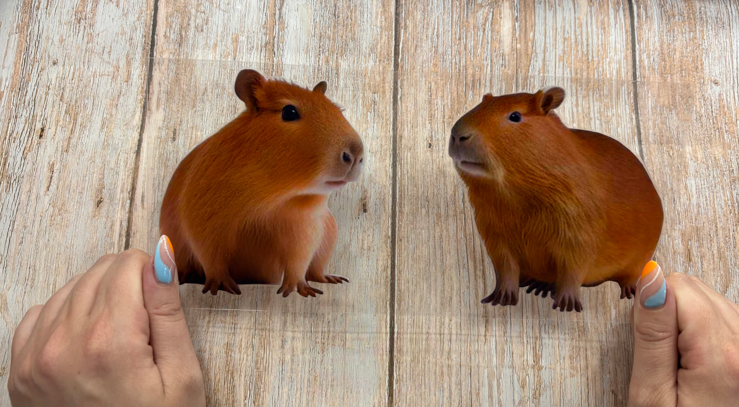 Capybara