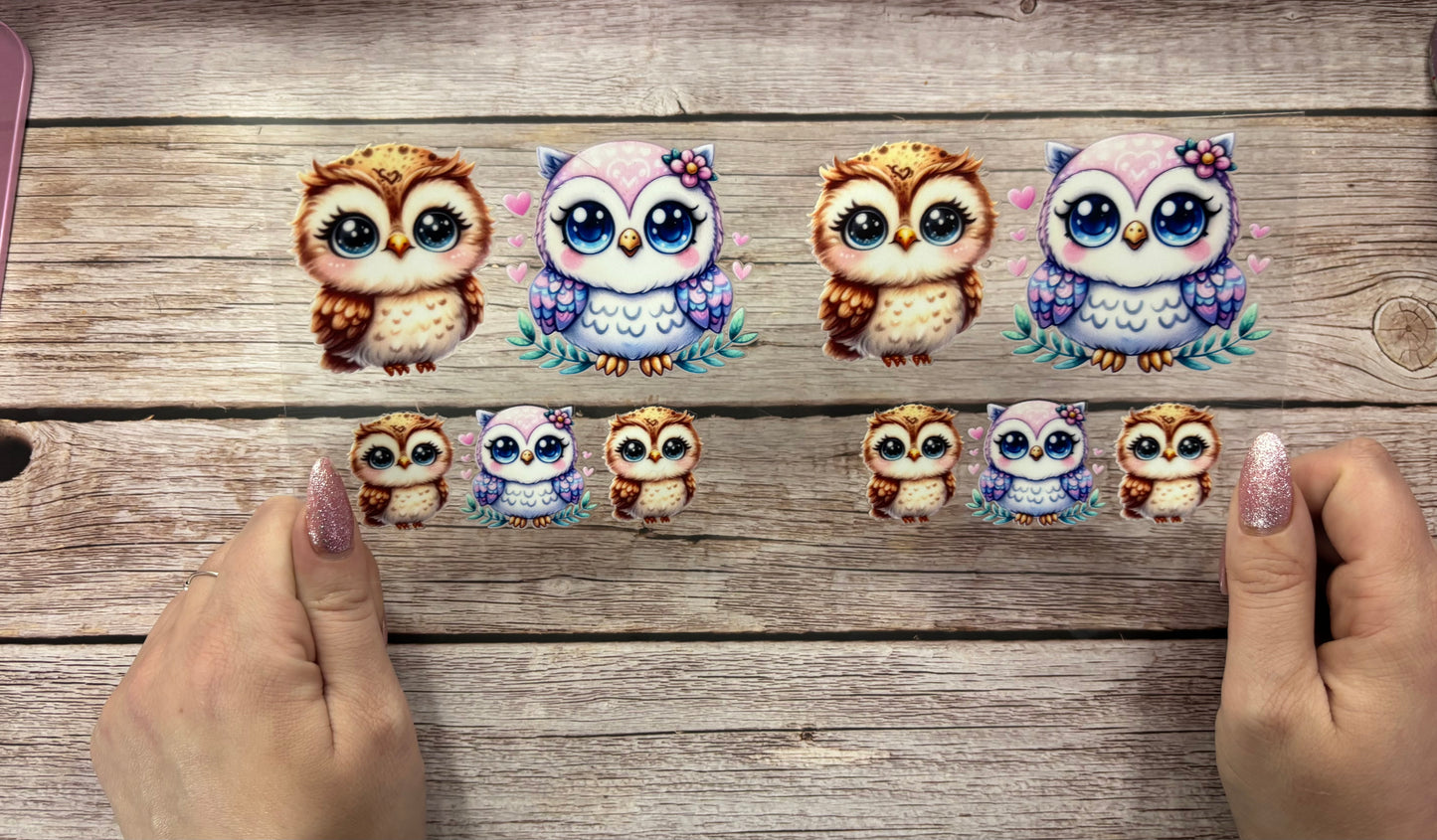 Owl