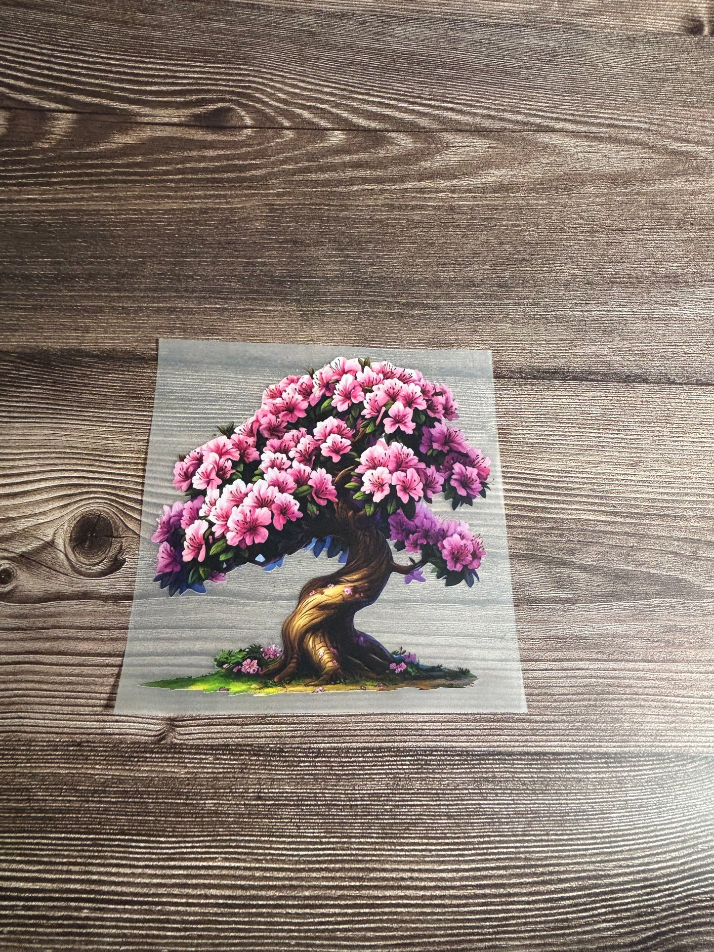 Pink tree