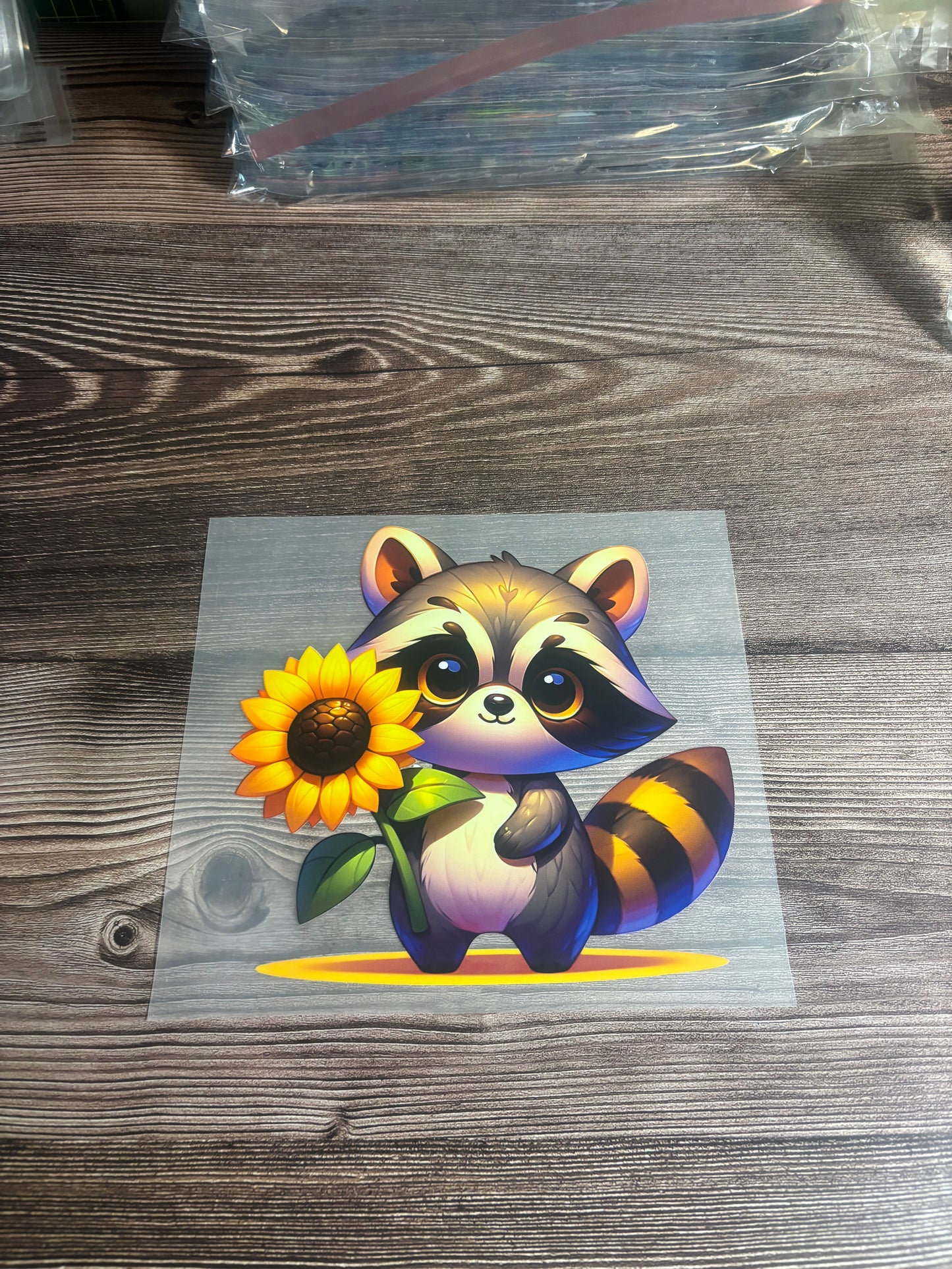 Sunflower raccoon