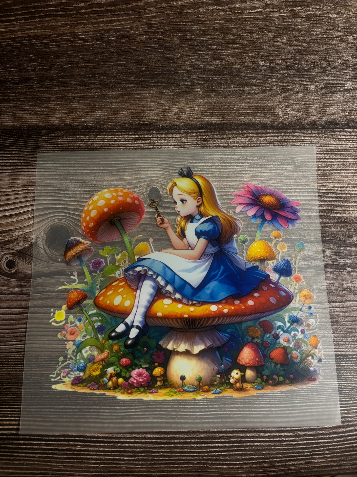 Girl on toadstool ht