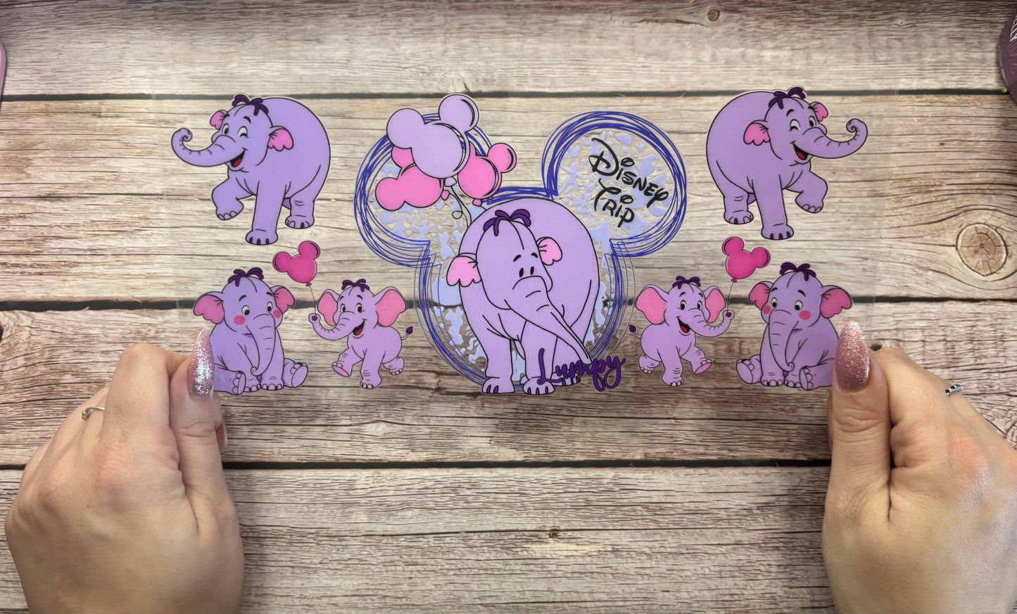 Elephant trip
