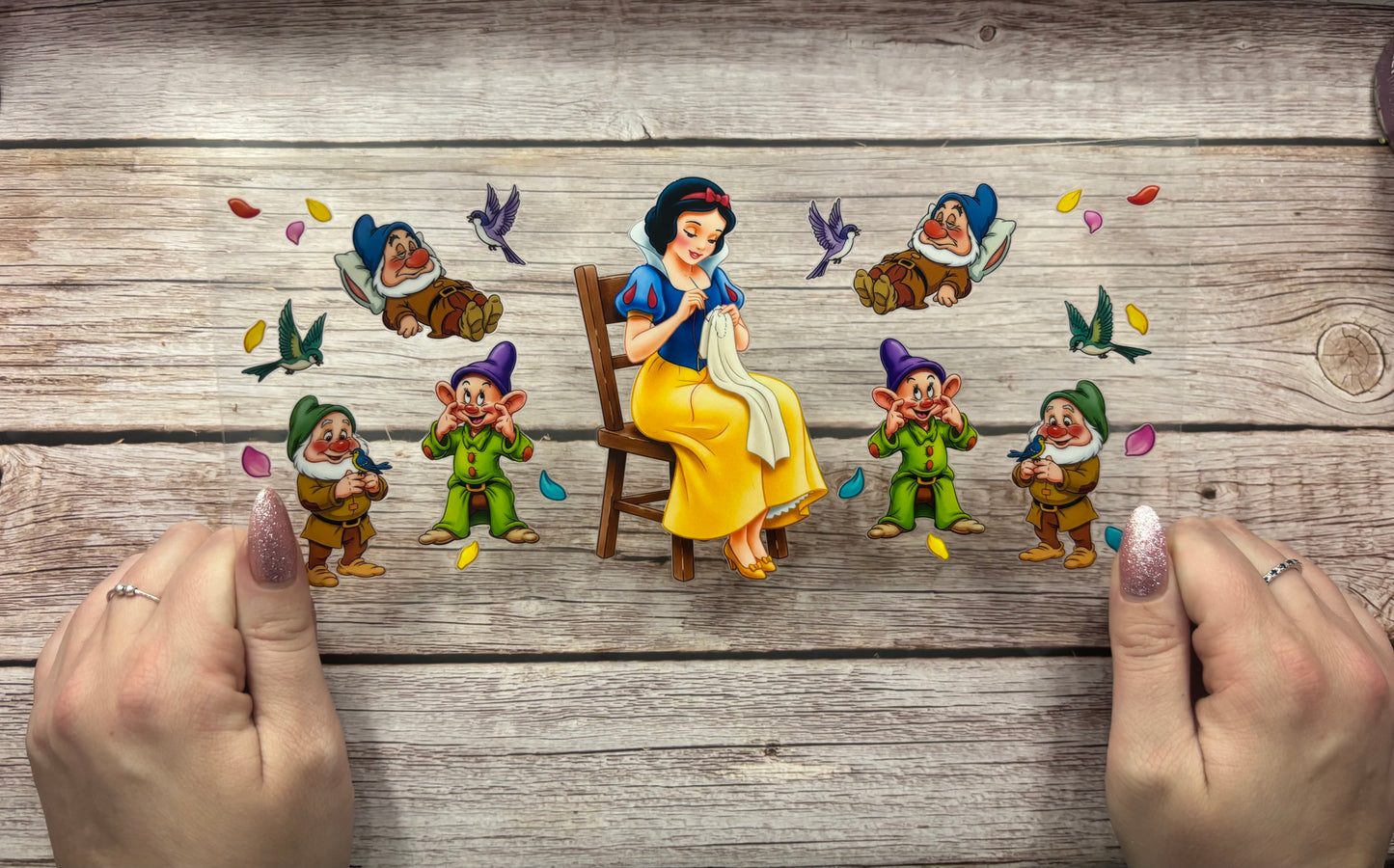 Princess and her dwarfs