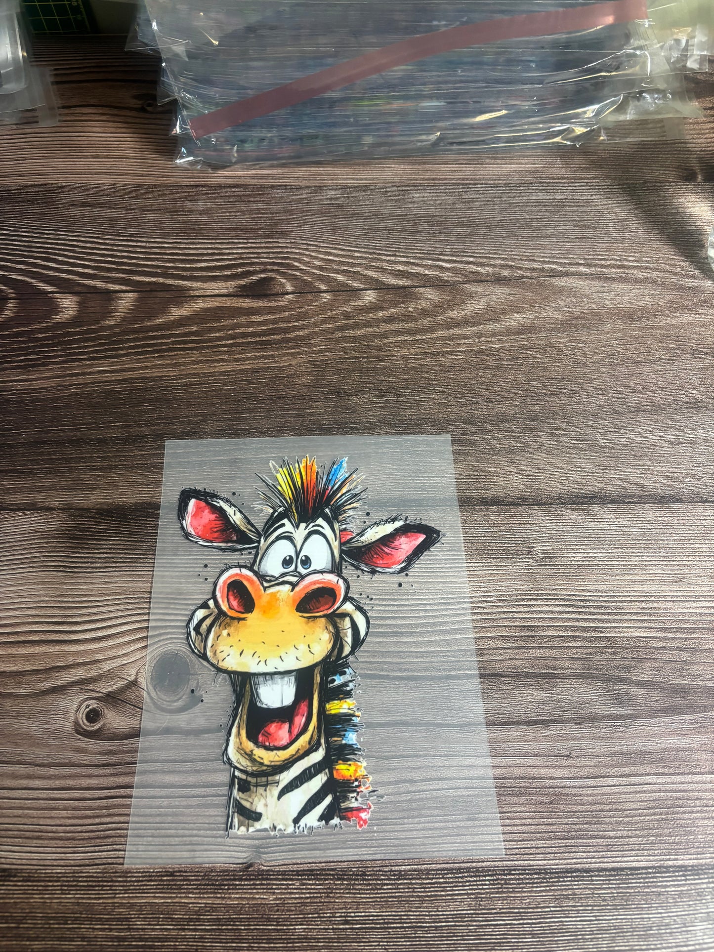 Colourful zebra
