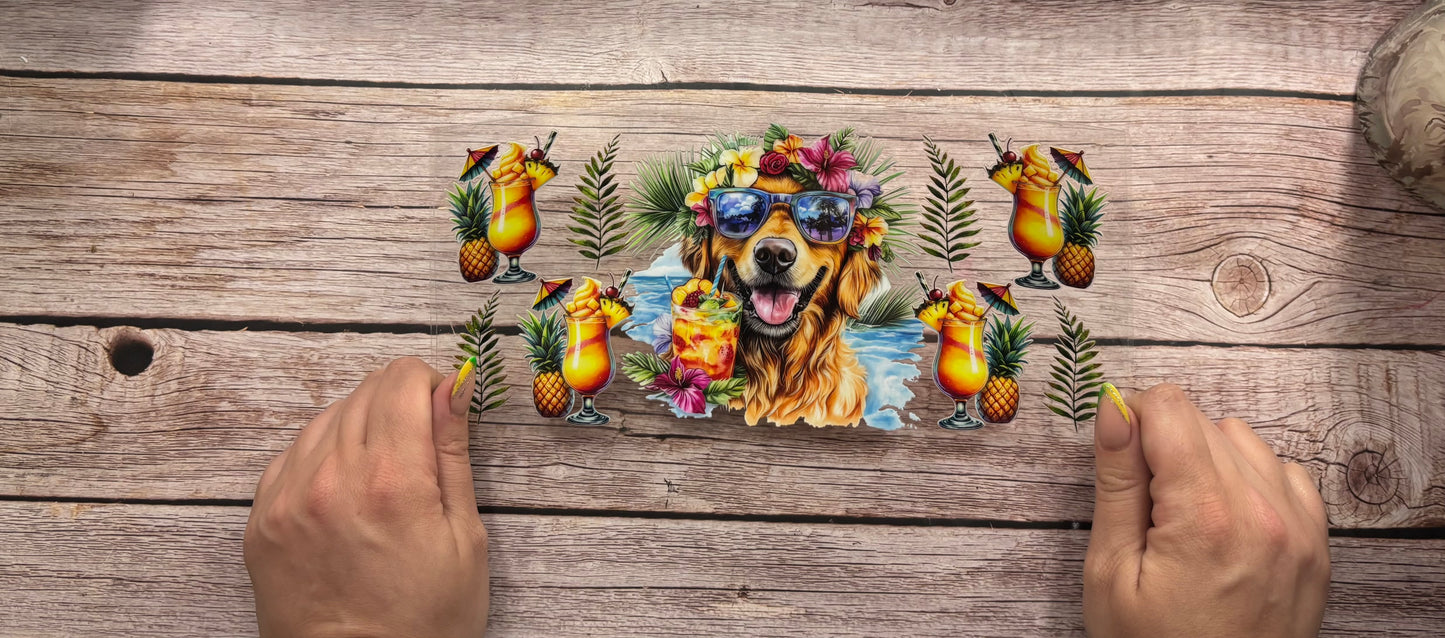 Dogs
