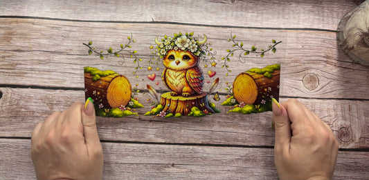 Owl