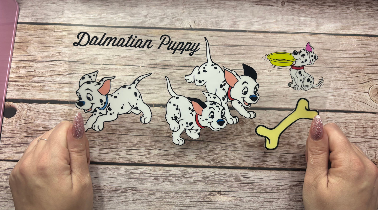 Spotty puppy