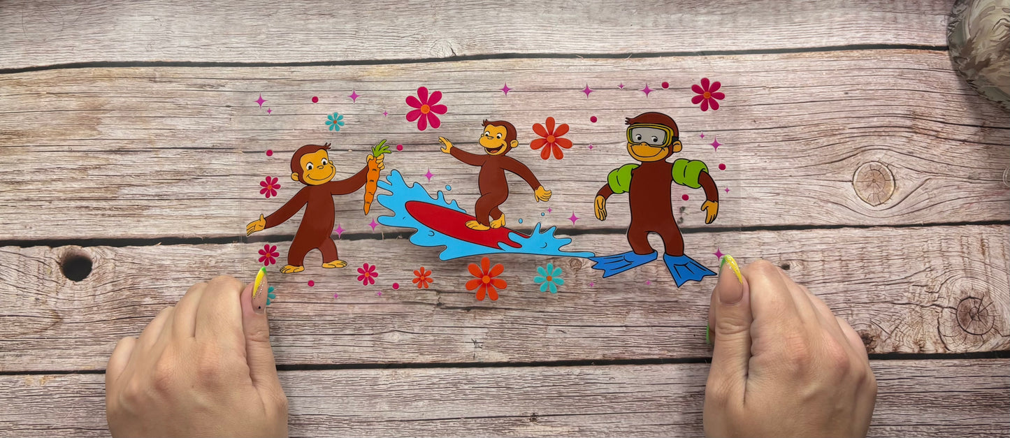 Curious monkey