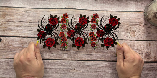 Spider