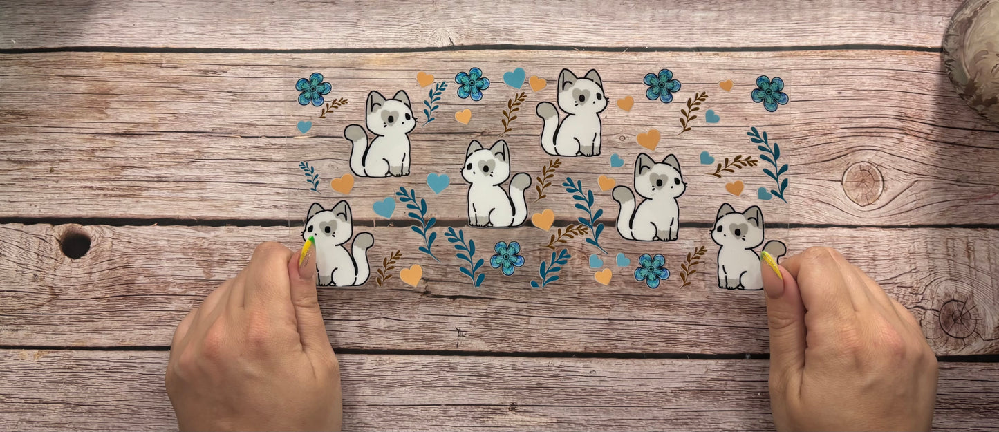Cats
