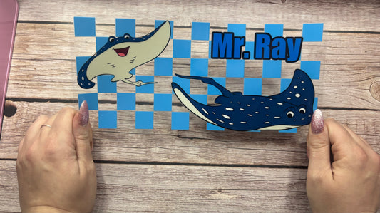 Mr string ray