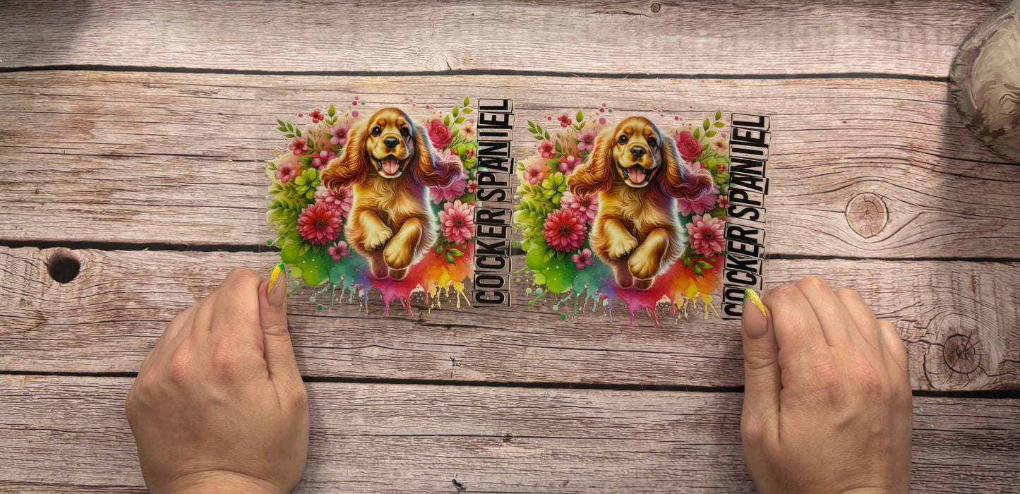 Dogs