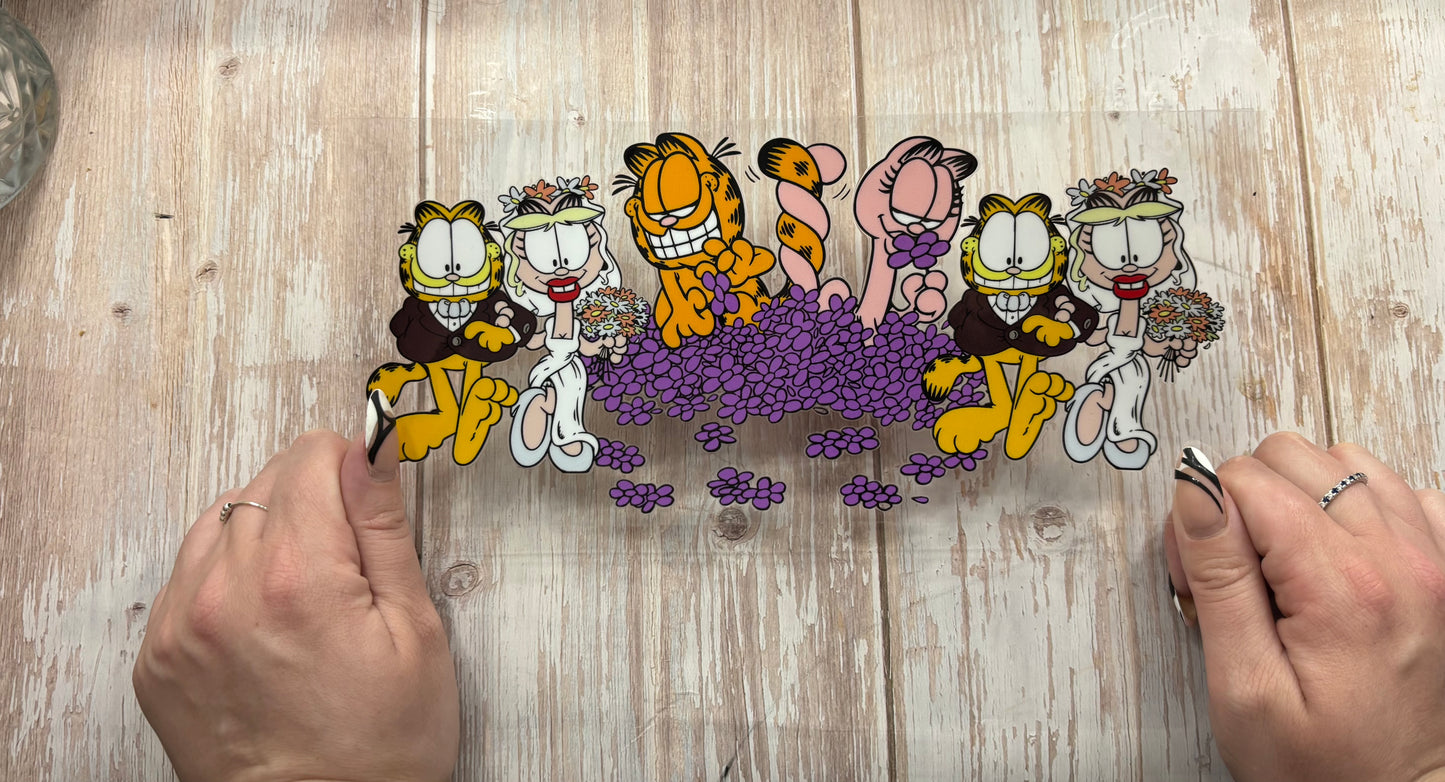 Cats and friends
