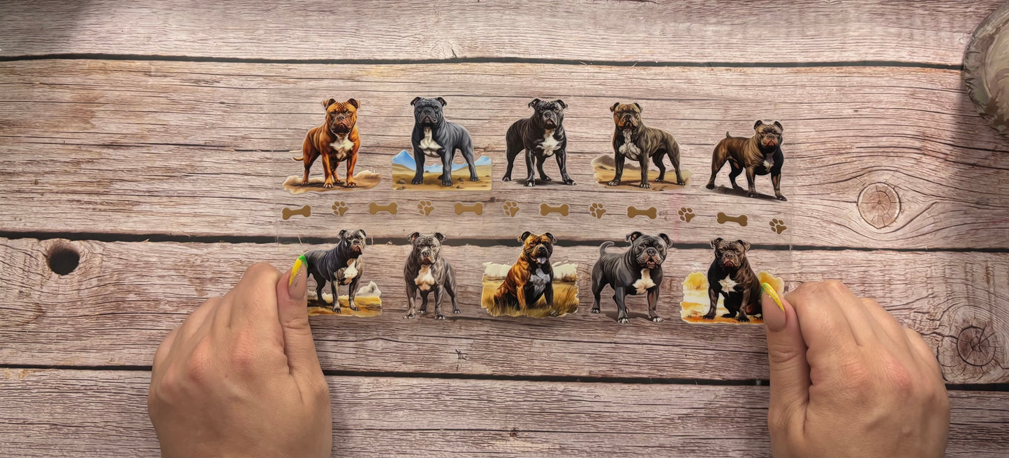 Dogs