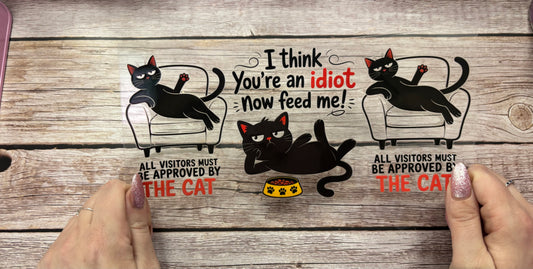 Black cat
