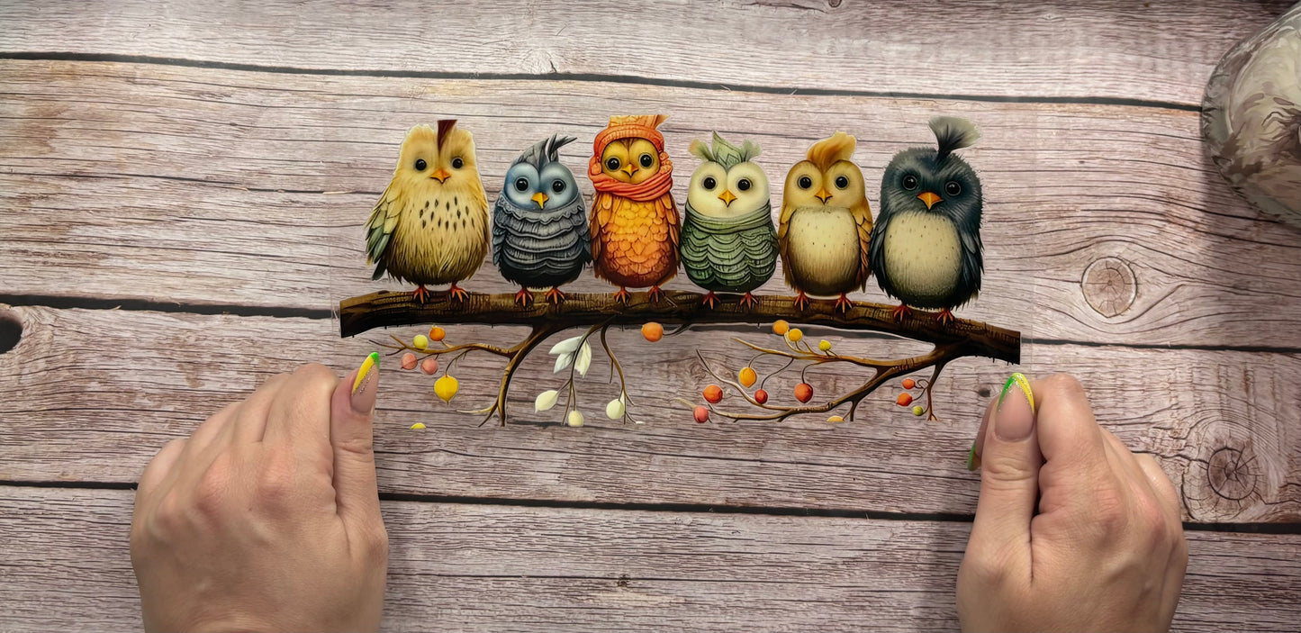 Owl