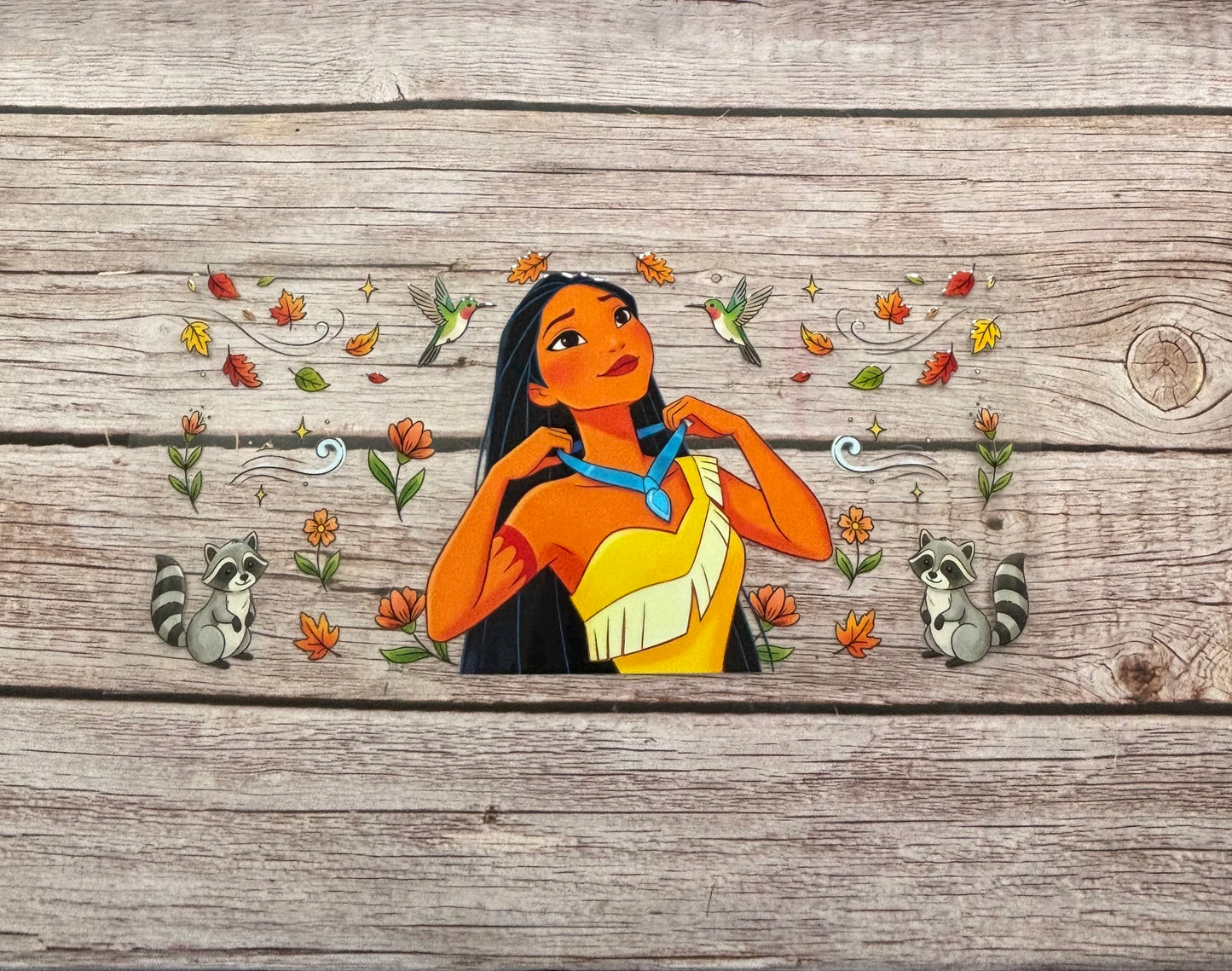 The wind spirit princess