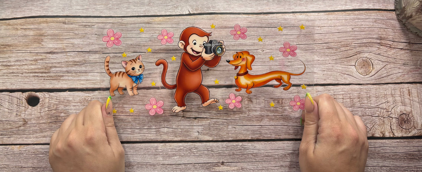 Curious monkey