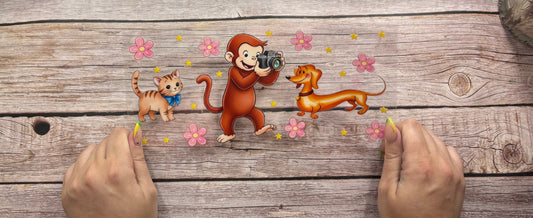 Curious monkey