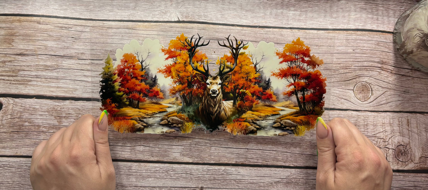 Deer