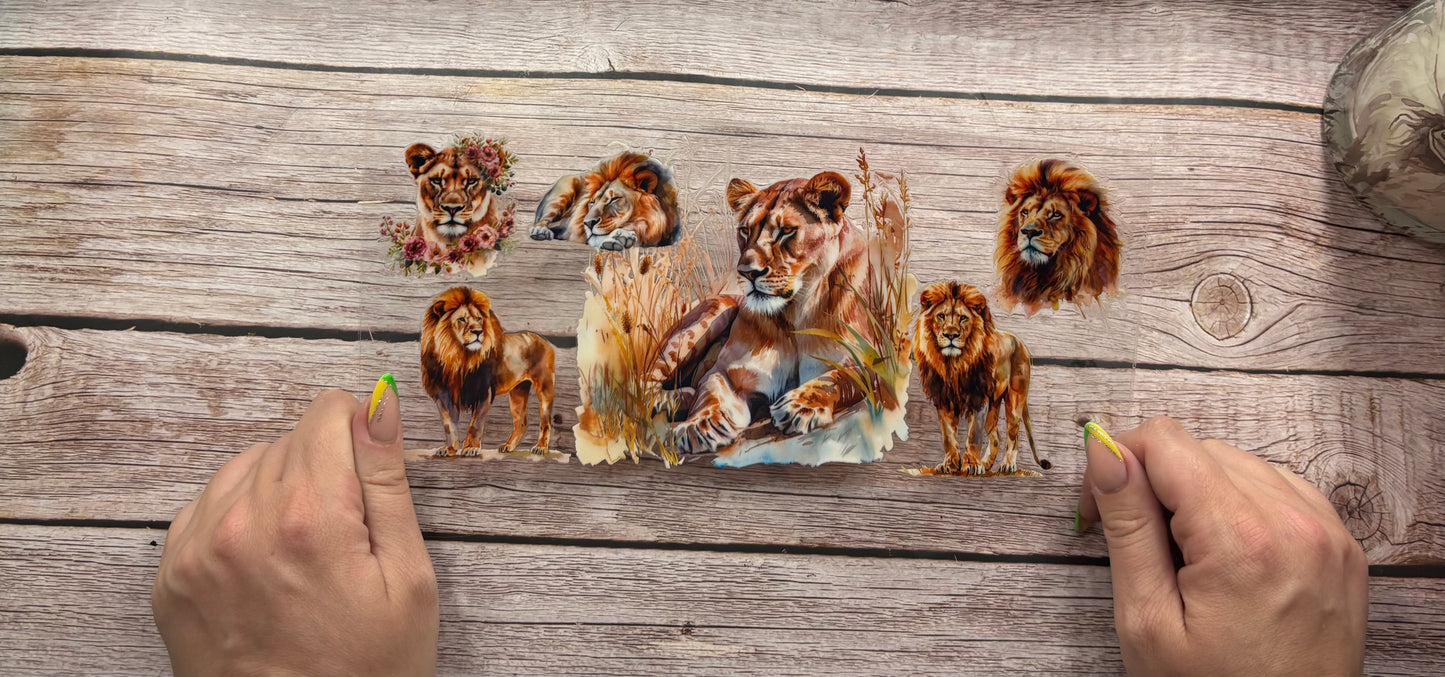 Lions