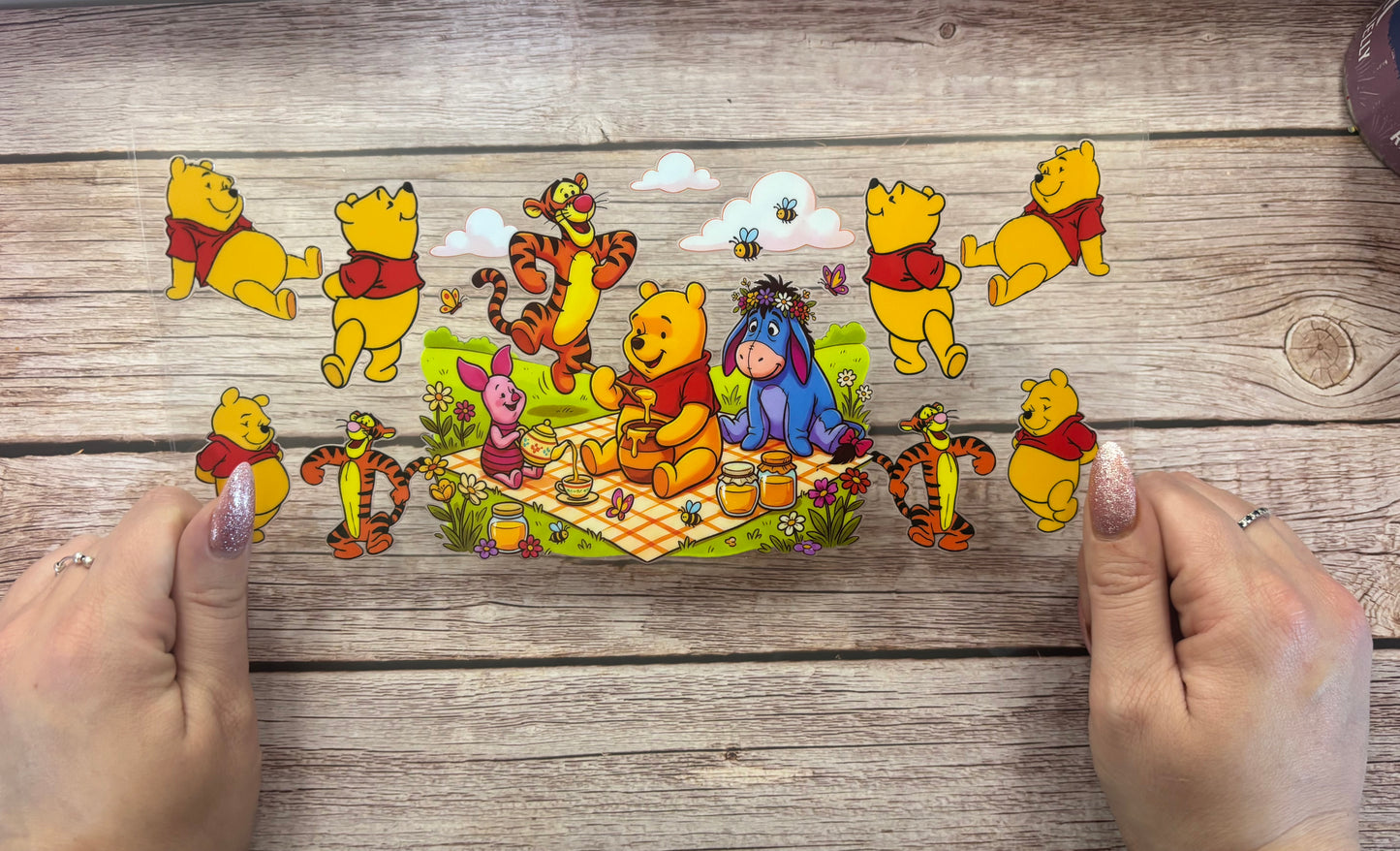 Picnic bear