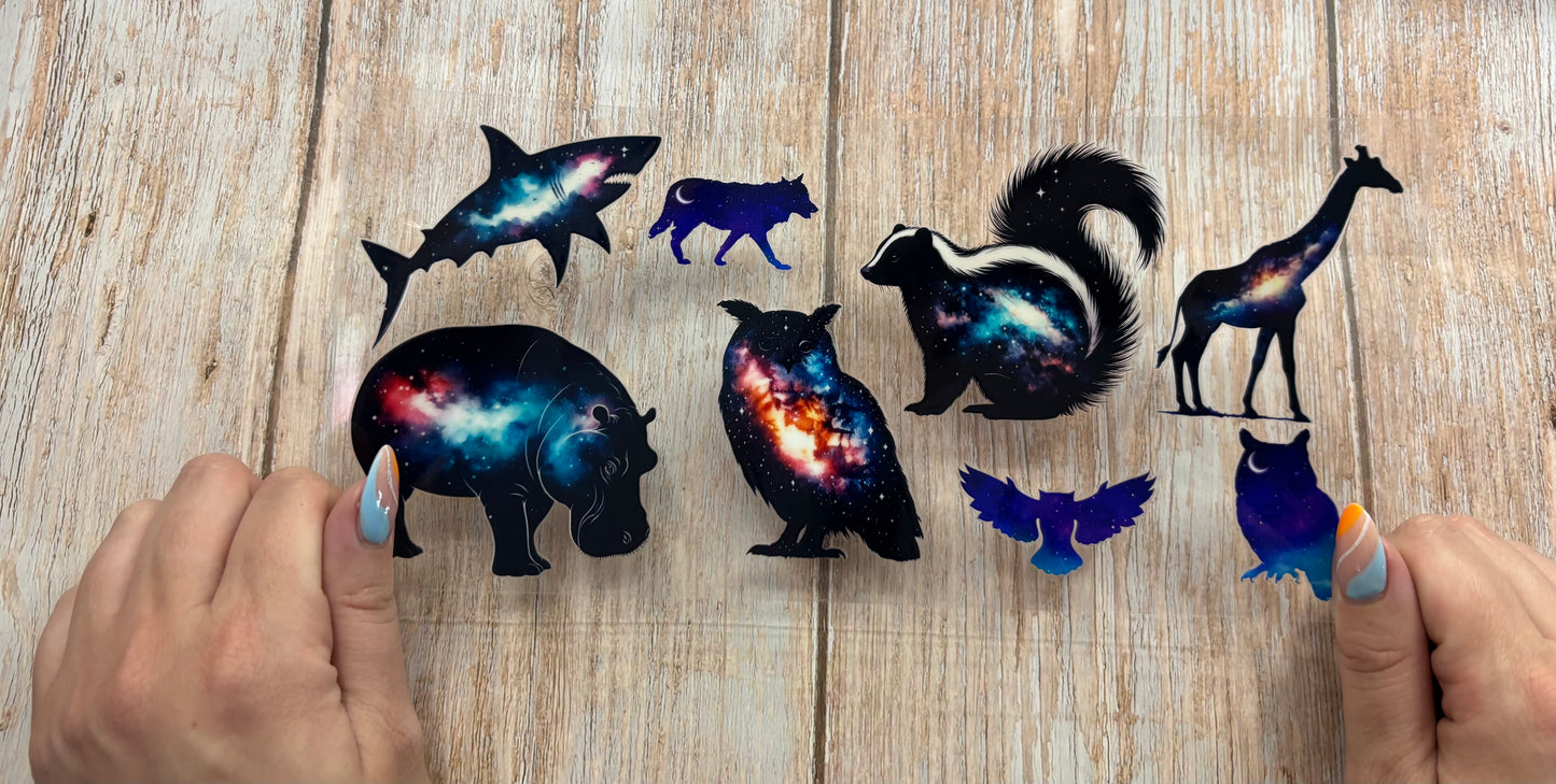 Animals