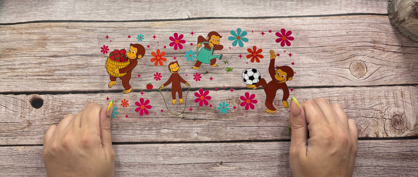 Curious monkey