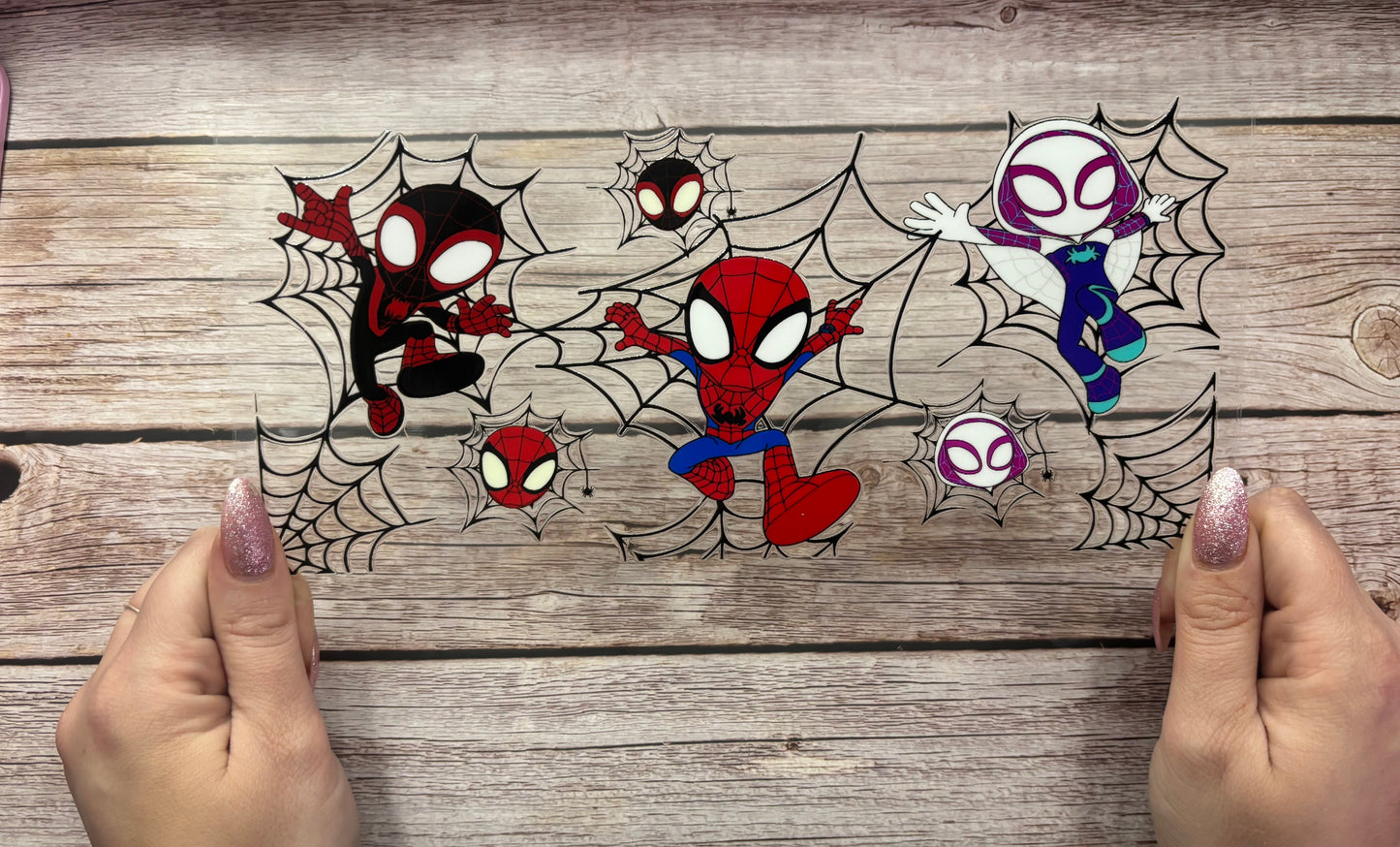 Spiders