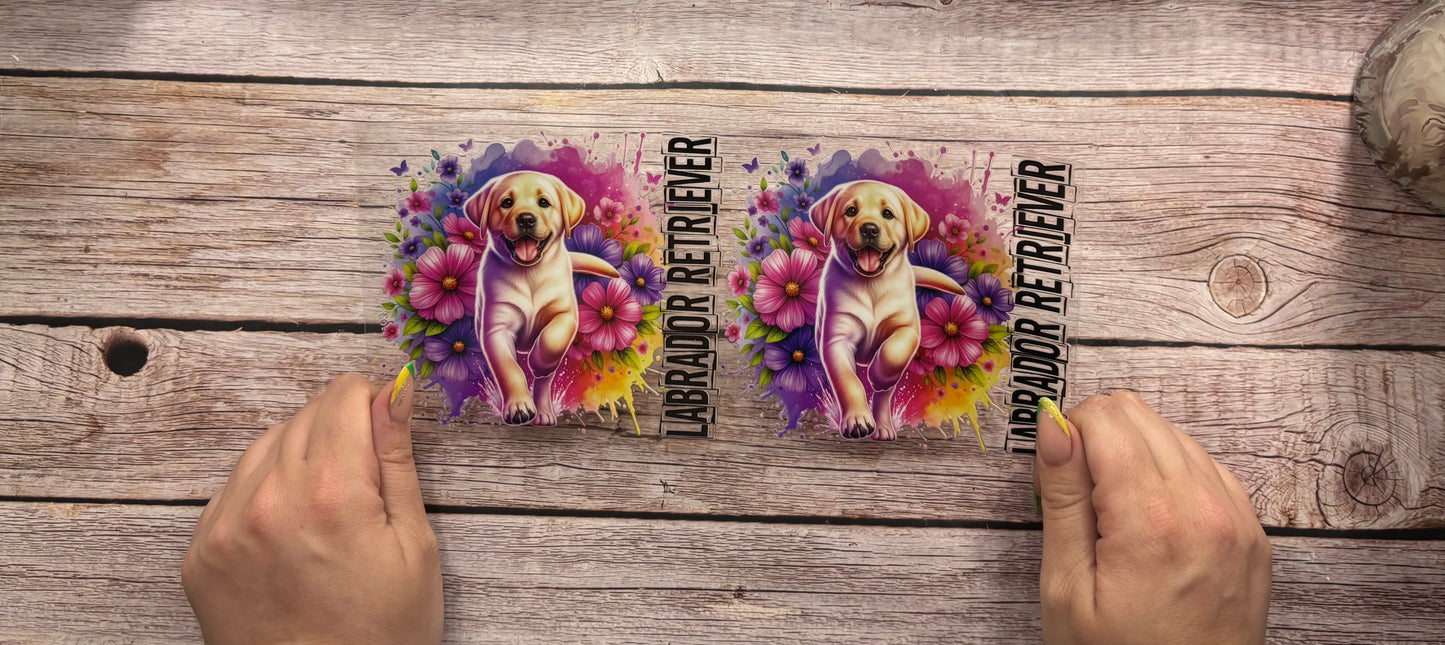 Dogs