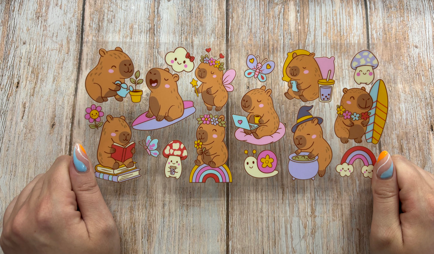 Cute capybara