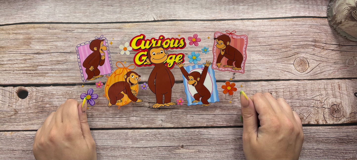 Curious monkey