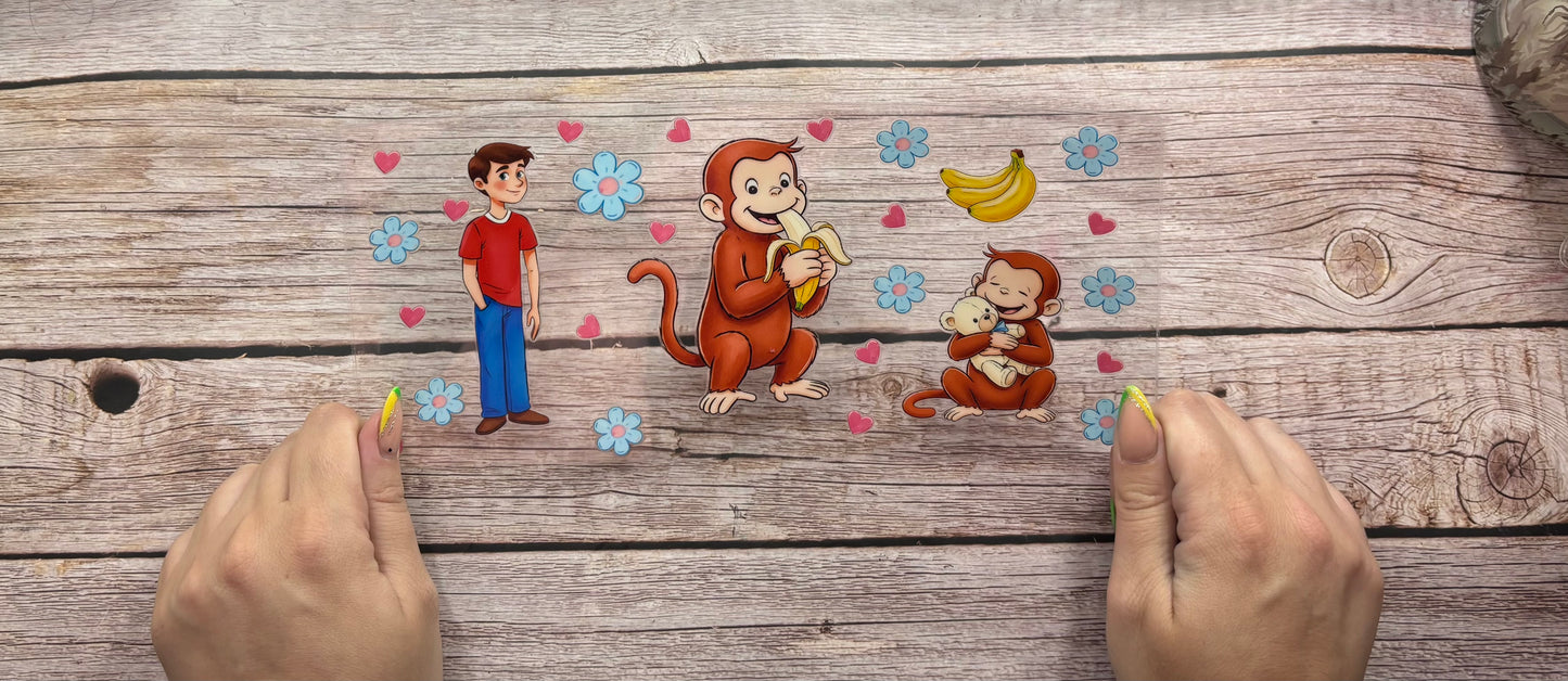 Curious monkey