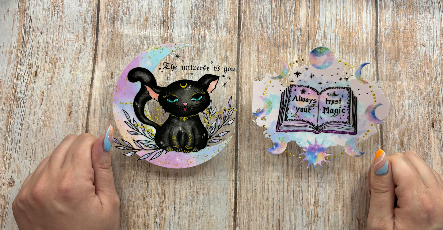 Black cat and book