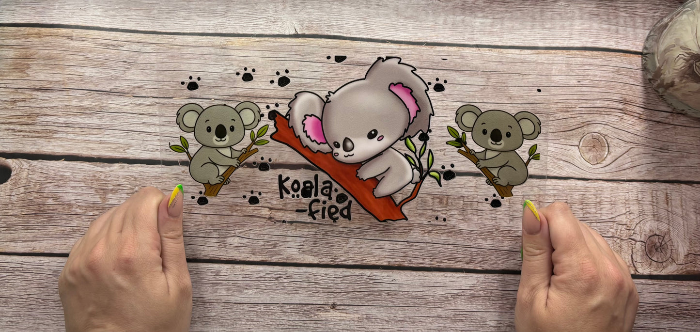 Koala