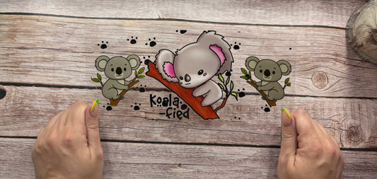 Koala